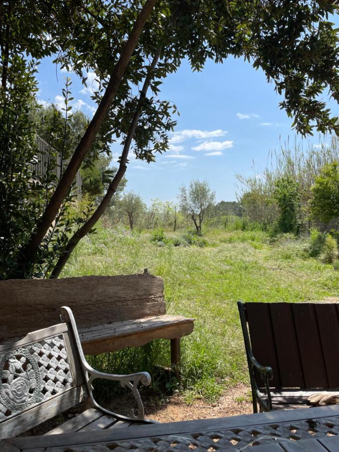 Casa Rural Con Jardin,A 8Km Playa Y En La Naturaleza Taronja&Canyella Ardenya エクステリア 写真