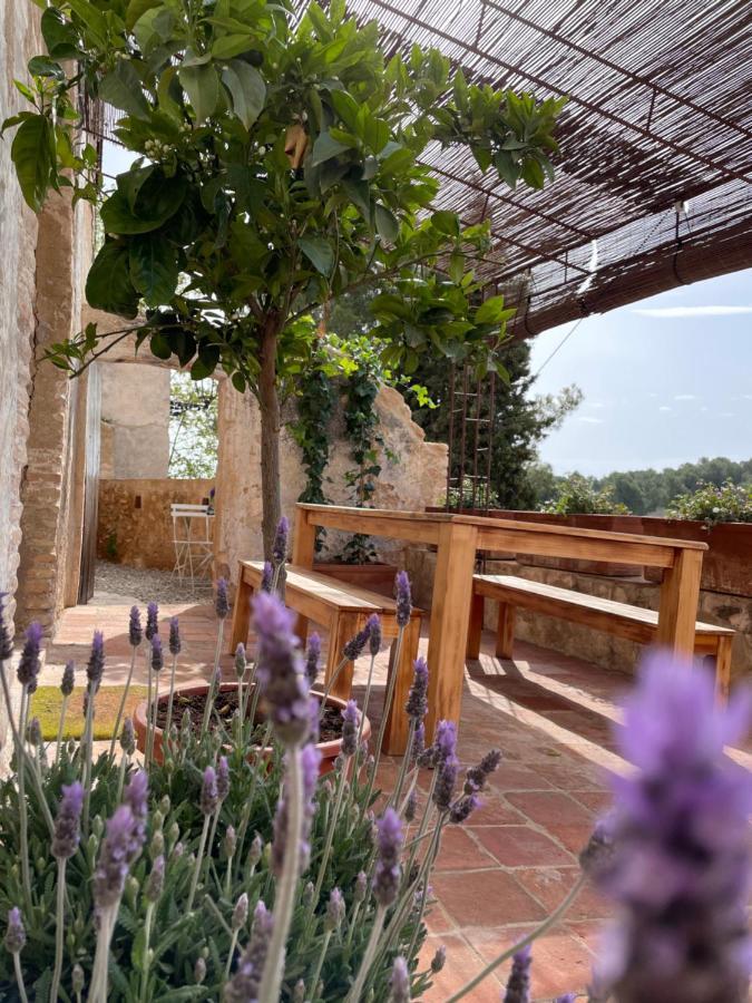 Casa Rural Con Jardin,A 8Km Playa Y En La Naturaleza Taronja&Canyella Ardenya エクステリア 写真