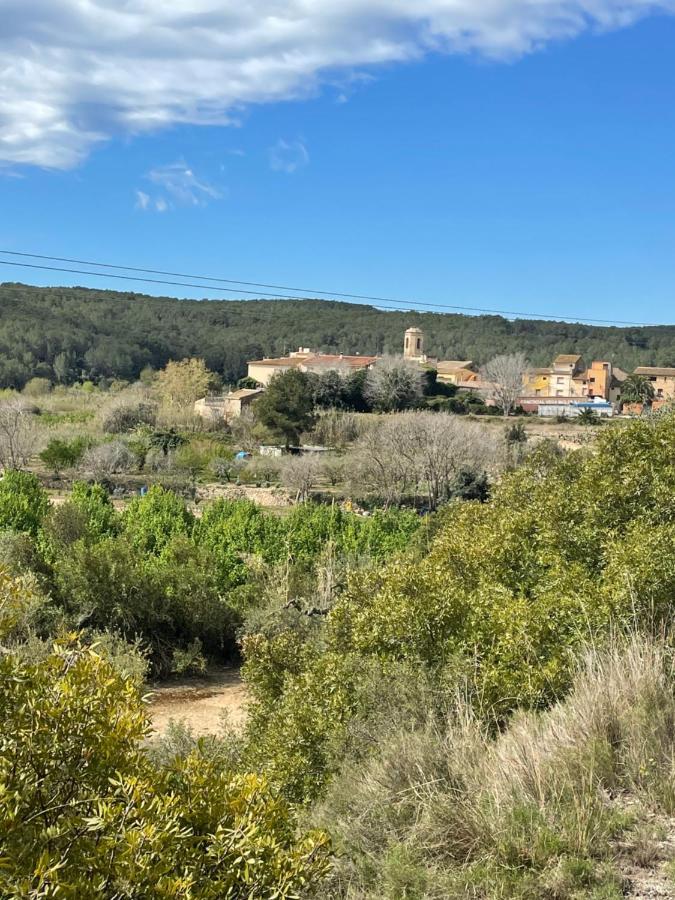 Casa Rural Con Jardin,A 8Km Playa Y En La Naturaleza Taronja&Canyella Ardenya エクステリア 写真