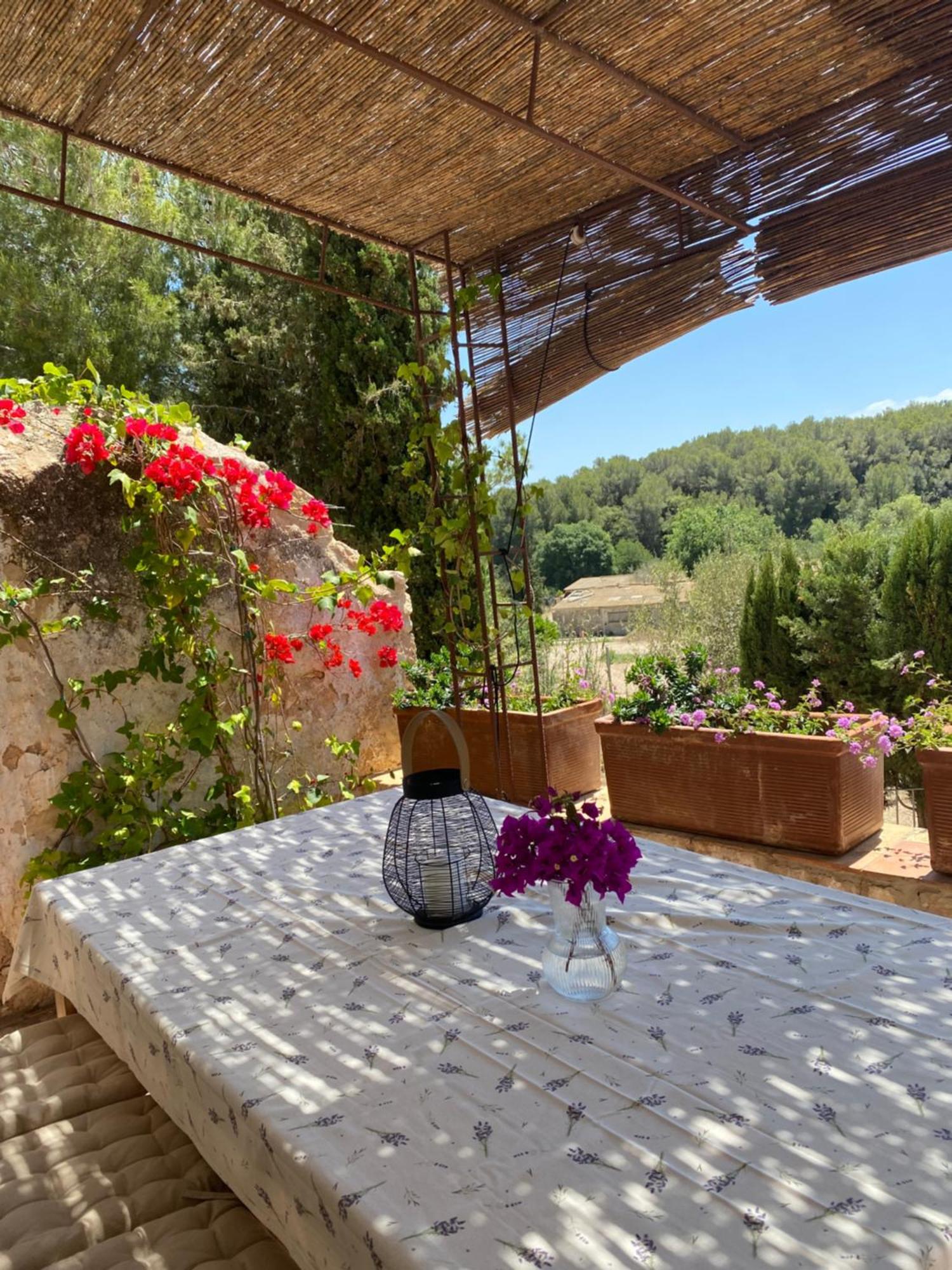 Casa Rural Con Jardin,A 8Km Playa Y En La Naturaleza Taronja&Canyella Ardenya エクステリア 写真