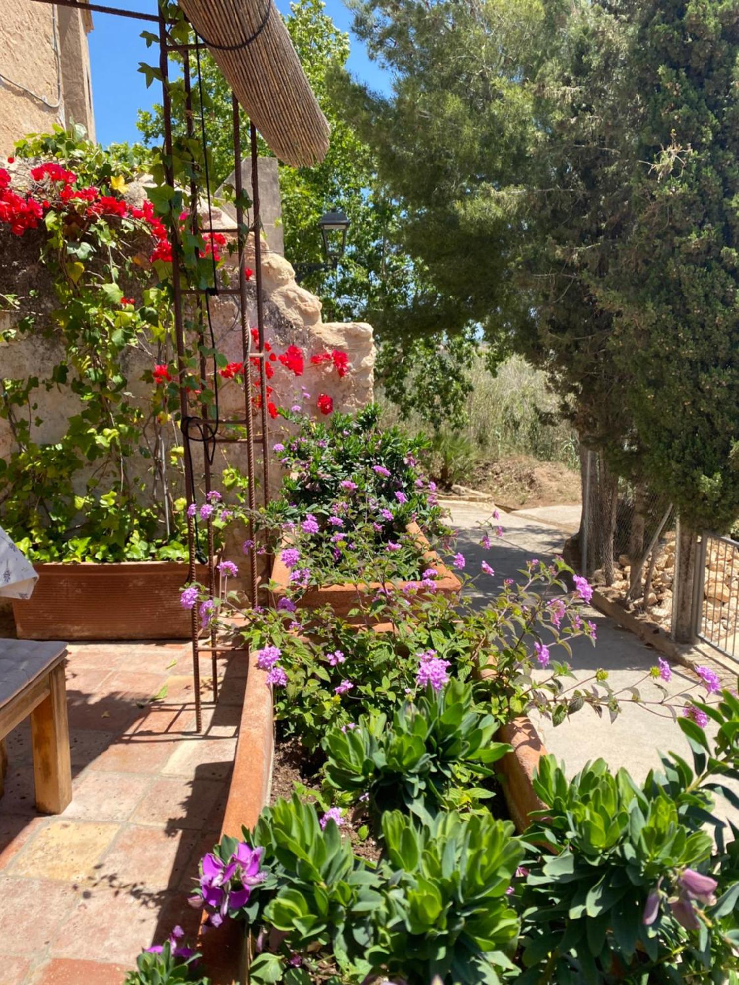 Casa Rural Con Jardin,A 8Km Playa Y En La Naturaleza Taronja&Canyella Ardenya エクステリア 写真